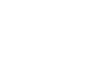 S. Willian Car Service