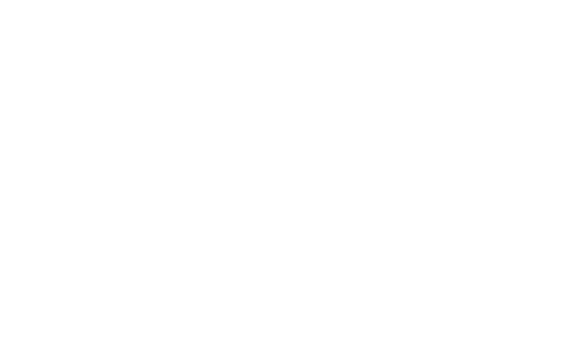 S. Willian Car Service